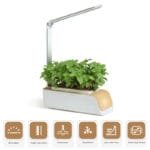 Pot De Fleurs Intelligent Avec Irrigation Automatique Et Led Grow - Jaune / états-unis