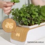 Pot De Fleurs Intelligent Avec Irrigation Automatique Et Led Grow - Jaune / états-unis