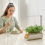 Pot De Fleurs Intelligent Avec Irrigation Automatique Et Led Grow - Jaune / états-unis