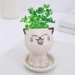 pot de jardin bebe chat en ceramique pour petites plantes laughter planting pots 268 1