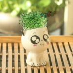 pot de jardin bebe chat en ceramique pour petites plantes planting pots 368 1
