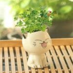 Pot De Jardin Bébé Chat En Céramique Pour Petites Plantes