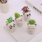 pot de jardin bebe chat en ceramique pour petites plantes planting pots 563 1