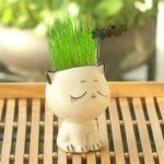 pot de jardin bebe chat en ceramique pour petites plantes planting pots 965 1