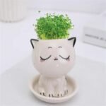 pot de jardin bebe chat en ceramique pour petites plantes squint planting pots 423 1