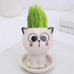 pot de jardin bebe chat en ceramique pour petites plantes startled planting pots 302 1