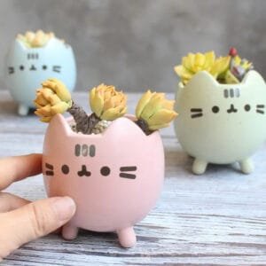 Pot De Succulent En Céramique Avec Décoration De Chat