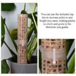 Poteau En Mousse Urban Garden Club Pour Plantes Grimpantes