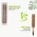 Poteau En Mousse Urban Garden Club Pour Plantes Grimpantes