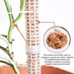 Poteau En Mousse Urban Garden Club Pour Plantes Grimpantes
