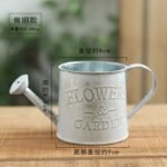 Pots à Fleurs Vintage En Seau Mignon Pour Déco Intérieure Et Jardin