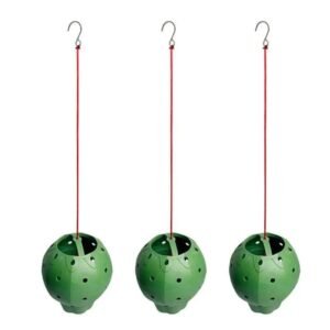 Pots Modernes Et Compacts Pour Plantes D’intérieur Et D’extérieur