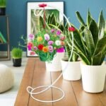 Pots Modernes Et Compacts Pour Plantes D&rsquo;intérieur Et D&rsquo;extérieur
