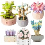 Plantes en pot succulentes modèle briques pour une décoration unique