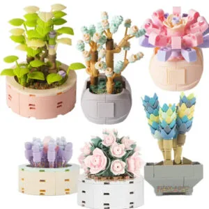 Plantes En Pot Succulentes Modèle Briques Pour Une Décoration Unique