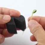 Éponge d’enracinement pour un jardinage hydroponique facile sans sol