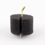 éponge D’enracinement Pour Un Jardinage Hydroponique Facile Sans Sol