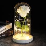rose artificielle sous dome avec lumieres elegantes white artificial flowers 292 1