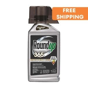 Roundup Concentrate Max: Contrôle Des Mauvaises Herbes Pendant 12 Mois