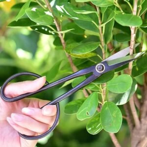 secateurs de jardin avec long manche adaptes a la taille et aux fleurs 1pc pruning tool 270 1