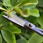 secateurs de jardin avec long manche adaptes a la taille et aux fleurs 1pc pruning tool 550 1