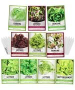 semences de laitue 10 varietes salades en paquets 382 1