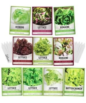 semences de laitue 10 varietes salades en paquets 382 1