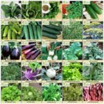 semences heirloom en sachets pour tous les jardins et cadeaux de jardinage 343 1