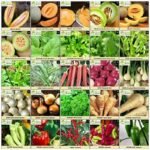 semences heirloom en sachets pour tous les jardins et cadeaux de jardinage 709 1