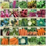 semences heirloom en sachets pour tous les jardins et cadeaux de jardinage 912 1