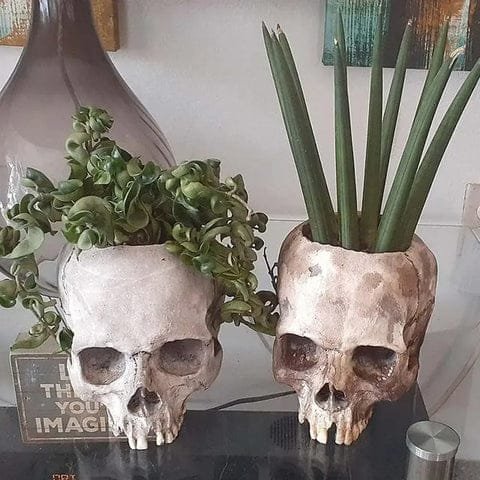 Planteur En Forme De Crâne Pour Une Touche D'Halloween élégante 3 Pot de jardinière crâne