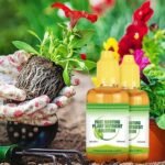 Solution Nutritionnelle Rapide Pour Vos Plantes En Pleine Croissance
