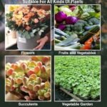Solution Nutritionnelle Rapide Pour Vos Plantes En Pleine Croissance