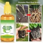 Solution Nutritionnelle Rapide Pour Vos Plantes En Pleine Croissance