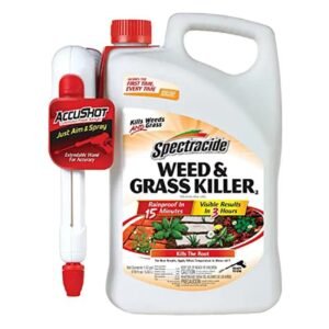 spray weed and grass killer for fast results in your garden 305 1