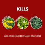 spray weed and grass killer for fast results in your garden 838 1
