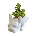 statue bulldog puppy pot de fleurs charmant et original home decor 729 1