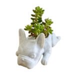 Statue Chiot Bouledogue: Pot De Fleurs Charmant Et Original