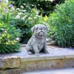 Statues De Chiens Pour Jardin : Durabilité Et Détails Uniques