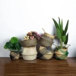 sturdy woven plant basket with handles for easy moving 542 1