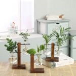 Station de propagation de plantes élégante avec un design en verre transparent