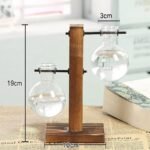 Station de propagation de plantes élégante avec un design en verre transparent