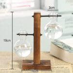 Station De Propagation De Plantes élégante Avec Un Design En Verre Transparent
