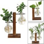 Station de propagation de plantes élégante avec un design en verre transparent