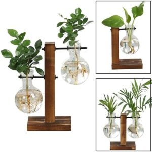 Station de propagation de plantes élégante avec un design en verre transparent