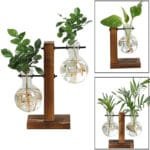 Station De Propagation De Plantes élégante Avec Un Design En Verre Transparent