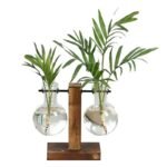 Station de propagation de plantes élégante avec un design en verre transparent