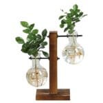 Station De Propagation De Plantes élégante Avec Un Design En Verre Transparent - Double Surélevé