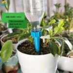 Système D&rsquo;arrosage Automatique Pour Plantes D&rsquo;intérieur