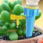 Système D&rsquo;arrosage Automatique Pour Plantes D&rsquo;intérieur